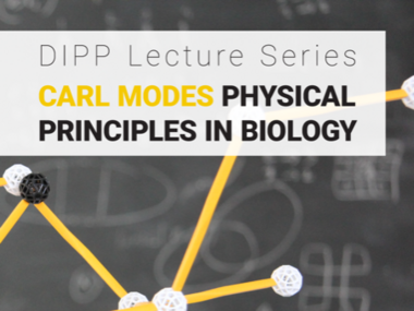 Physical Principles Lecture Series from Carl Modes et al.